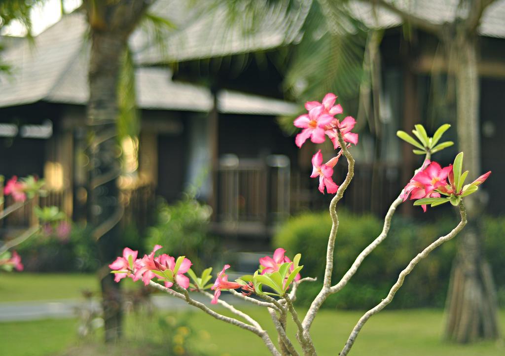 Aman Gati Balangan Hotel Pecatu  ภายนอก รูปภาพ